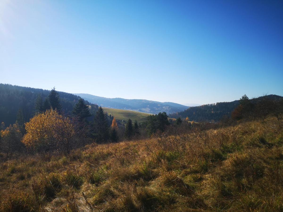 Apartamenty U Janka Krynica Zdroj Εξωτερικό φωτογραφία